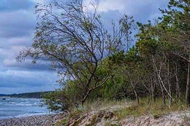 F1车迷必看：2025赛季最受期待的比赛，f1 2025