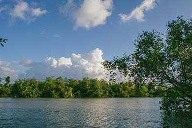 Astralis 在 IEM Cologne 中夺冠，astralis赛程