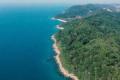 EDG战队阵容深度不断增强，edg的阵容